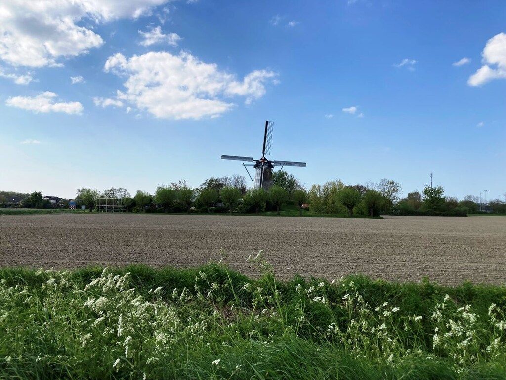 377716 in Kamperland - Foto 36 van 46