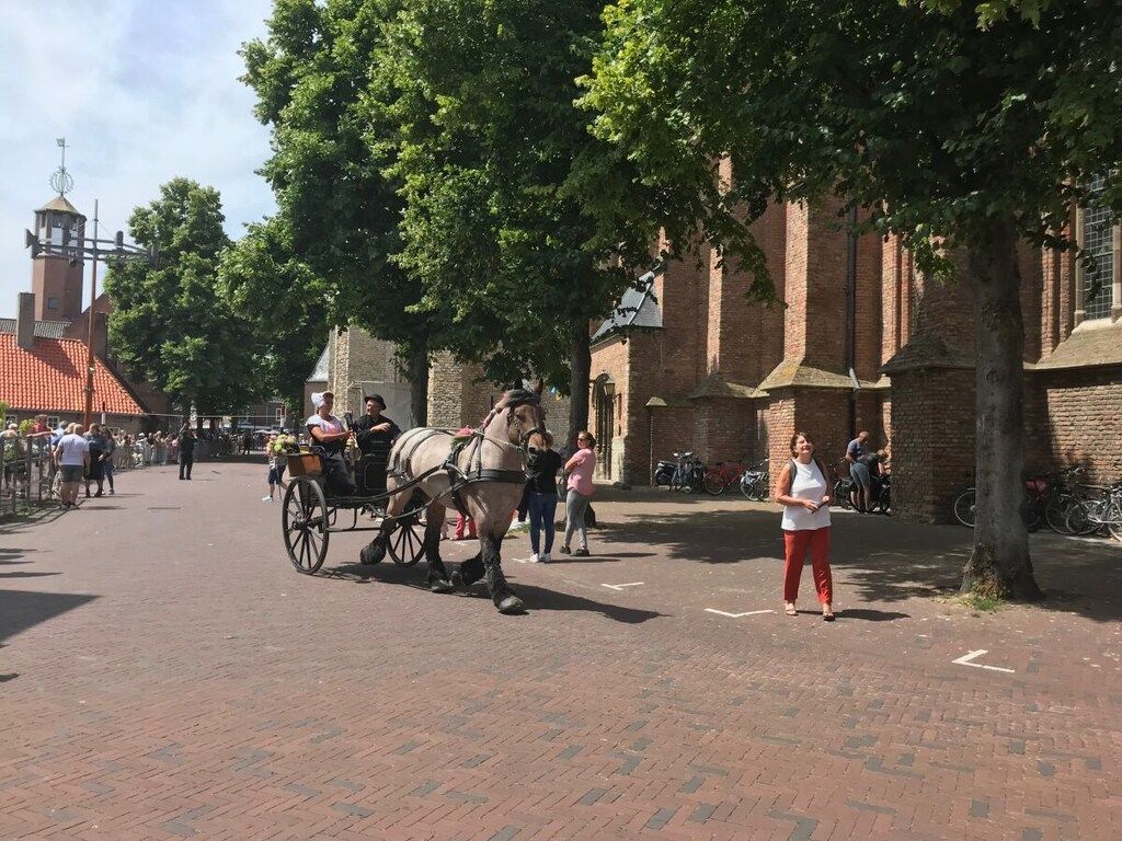 189922 in Kamperland - Foto 40 van 42