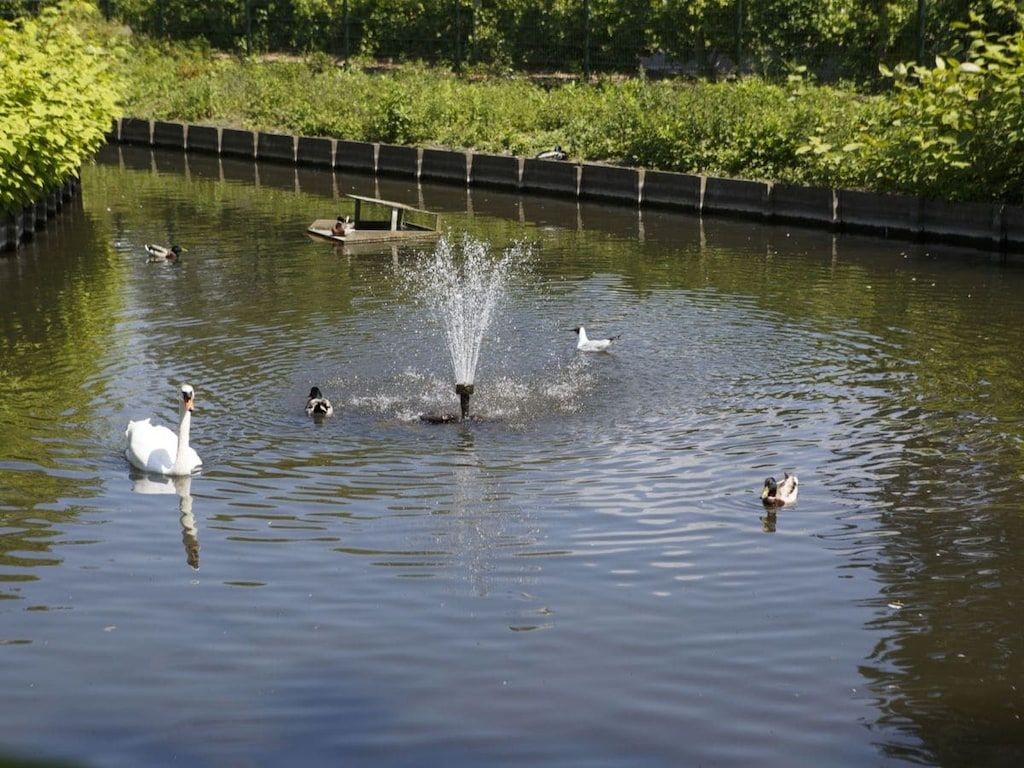 202069 in Ouddorp - Foto 21 van 23