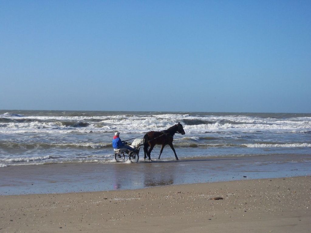 32002 in PP Julianadorp aan Zee - Foto 20 van 21