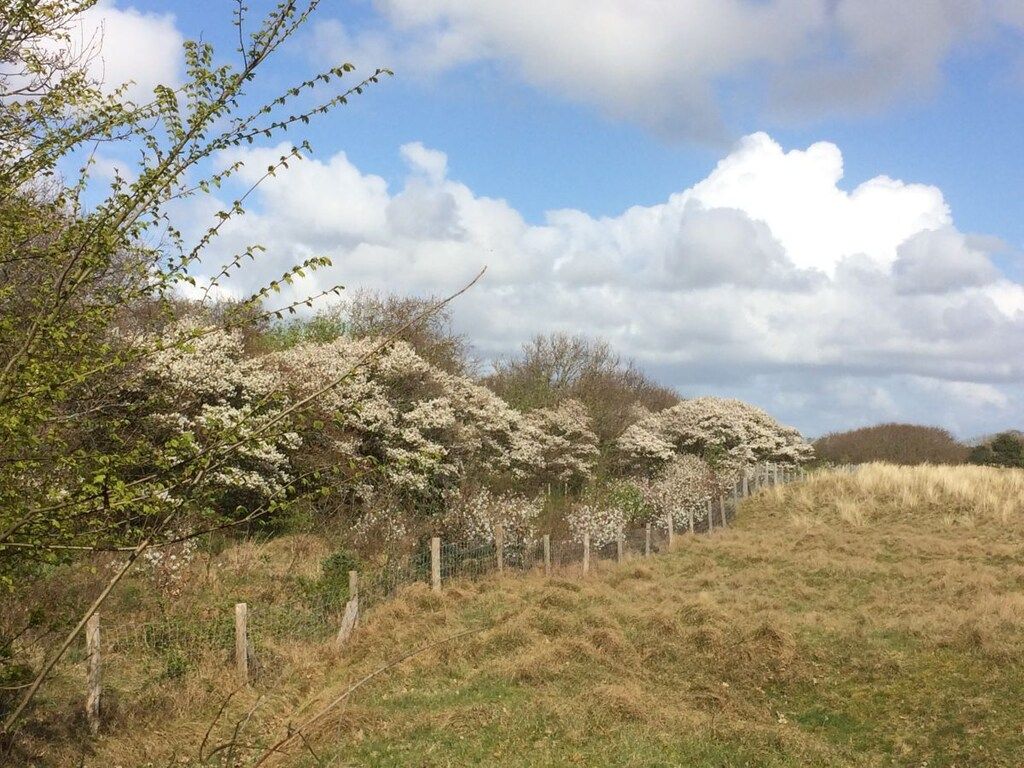 232408 in Callantsoog - Foto 27 van 34