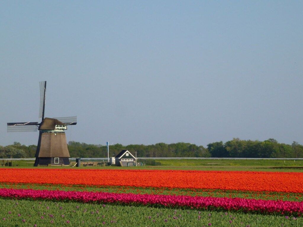 206821 in Petten - Foto 19 van 21