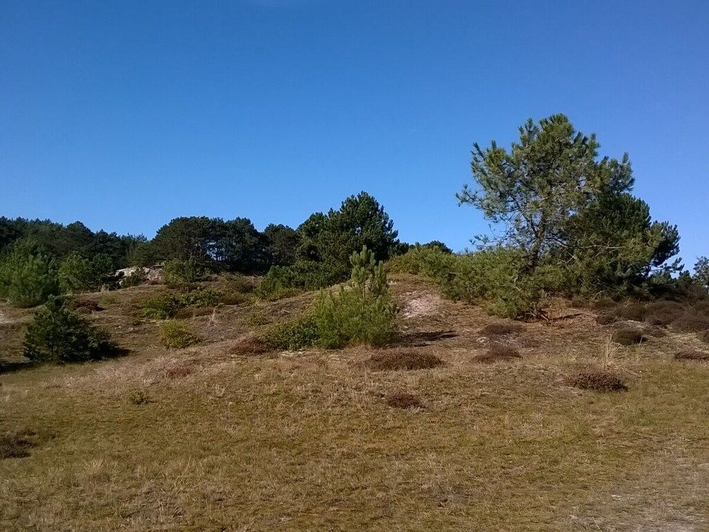 206821 in Petten - Foto 20 van 21