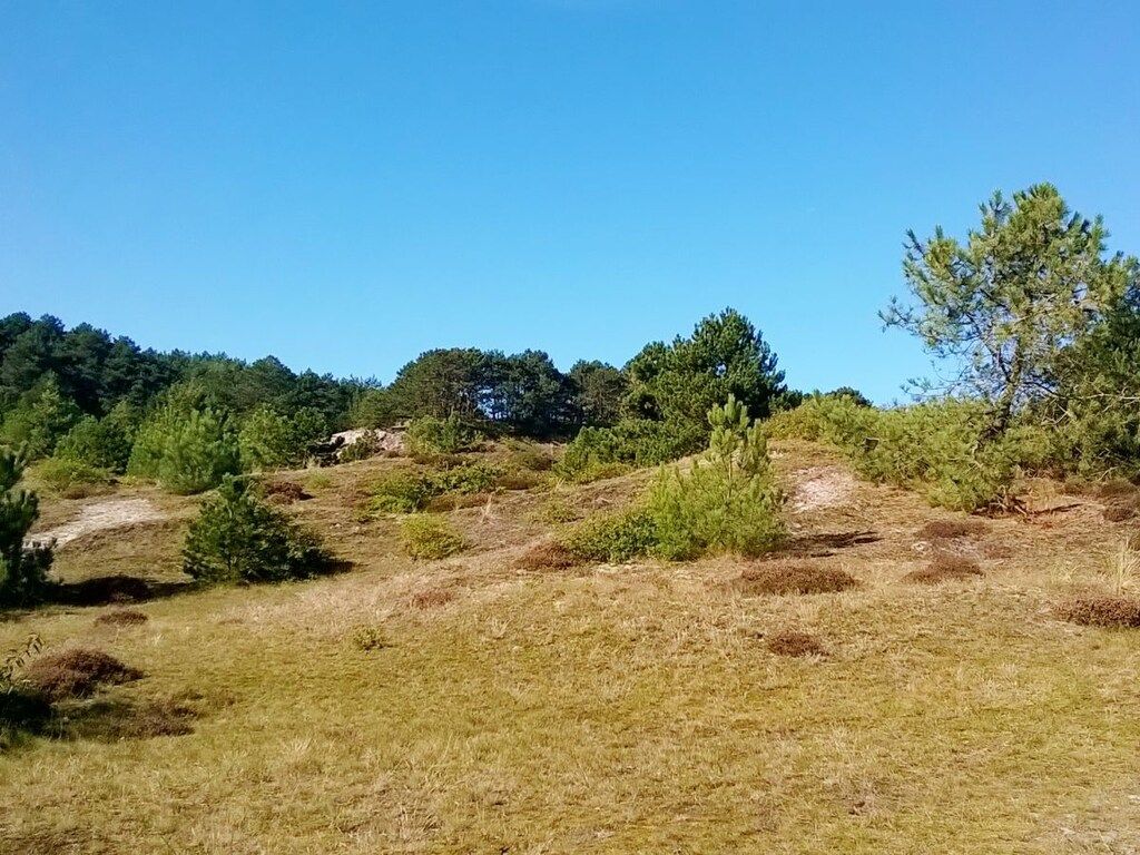 206821 in Petten - Foto 18 van 21