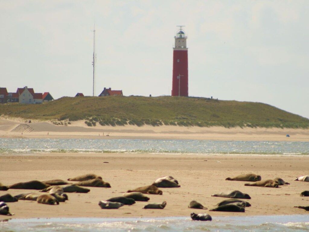 238393 in De Koog    -Texel- - Foto 14 van 19