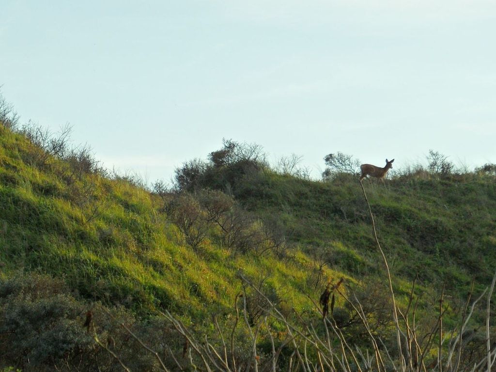131640 in Noordwijk - Foto 25 van 27