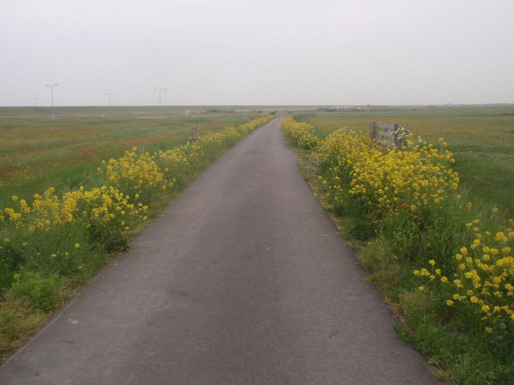 137905 in Schoorl - Foto 18 van 22