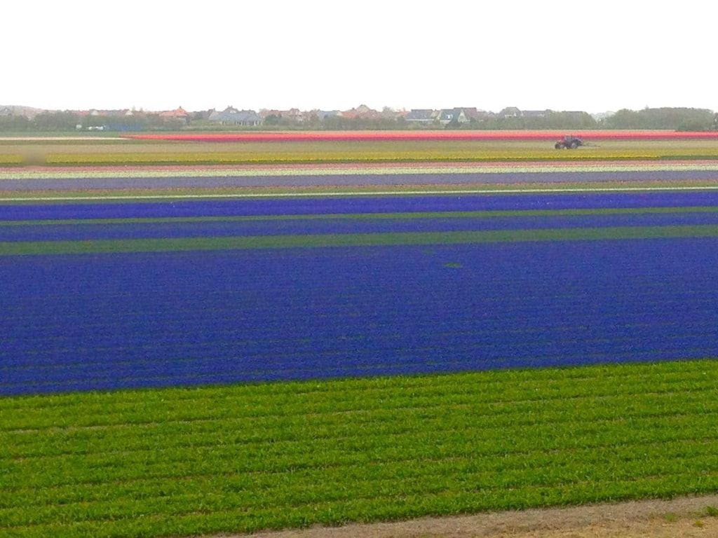 26216 in Groet - Foto 21 van 23