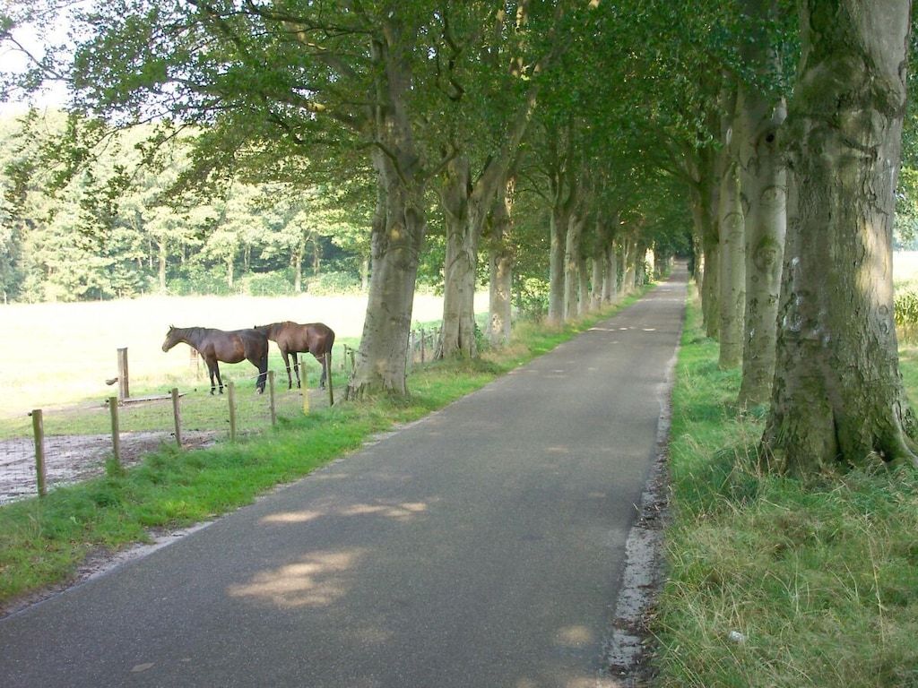 5336 in Oudemirdum - Foto 34 van 41