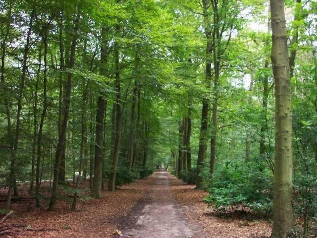 5336 in Oudemirdum - Foto 6 van 41