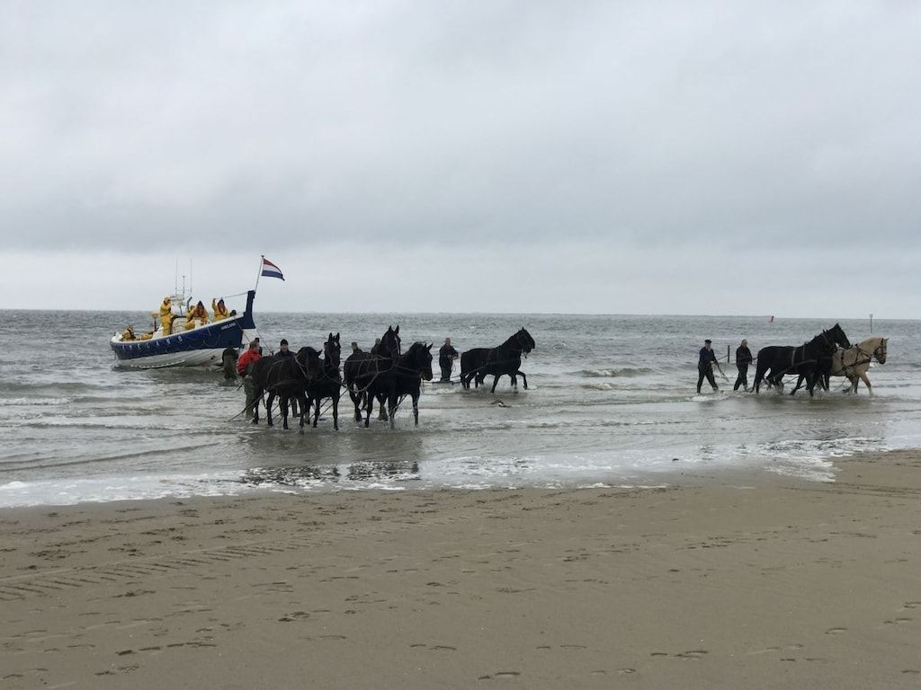 229436 in CT Hollum - Foto 19 van 27