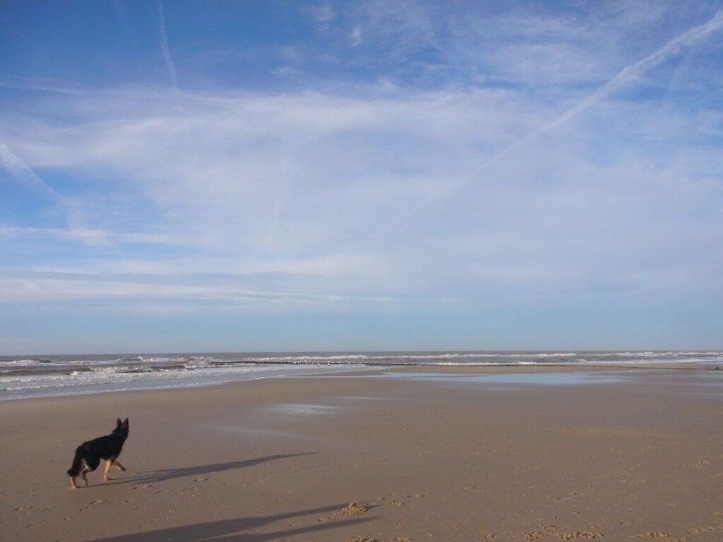 72399 in Julianadorp aan Zee - Foto 13 van 21