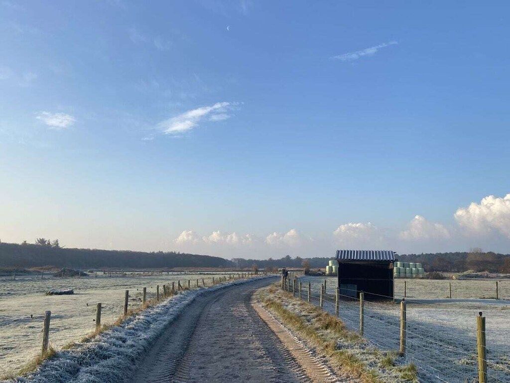 621345 in Texel - Foto 21 van 23