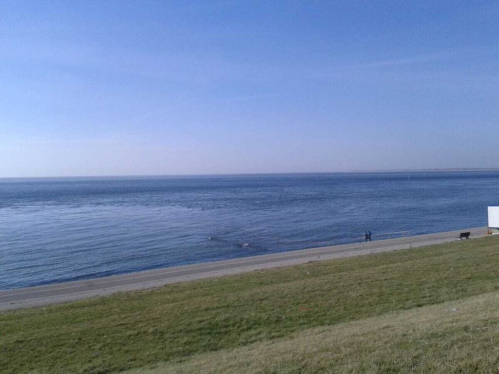 515641 in Julianadorp aan Zee - Foto 27 van 41