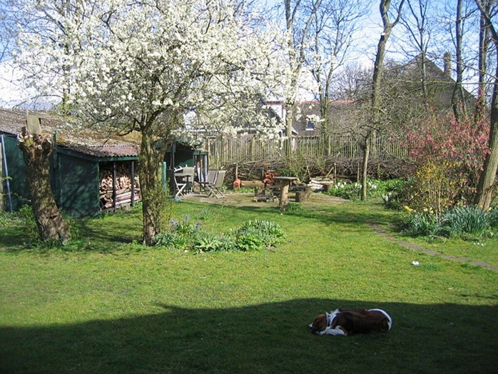 25873 in Groet - Foto 19 van 21