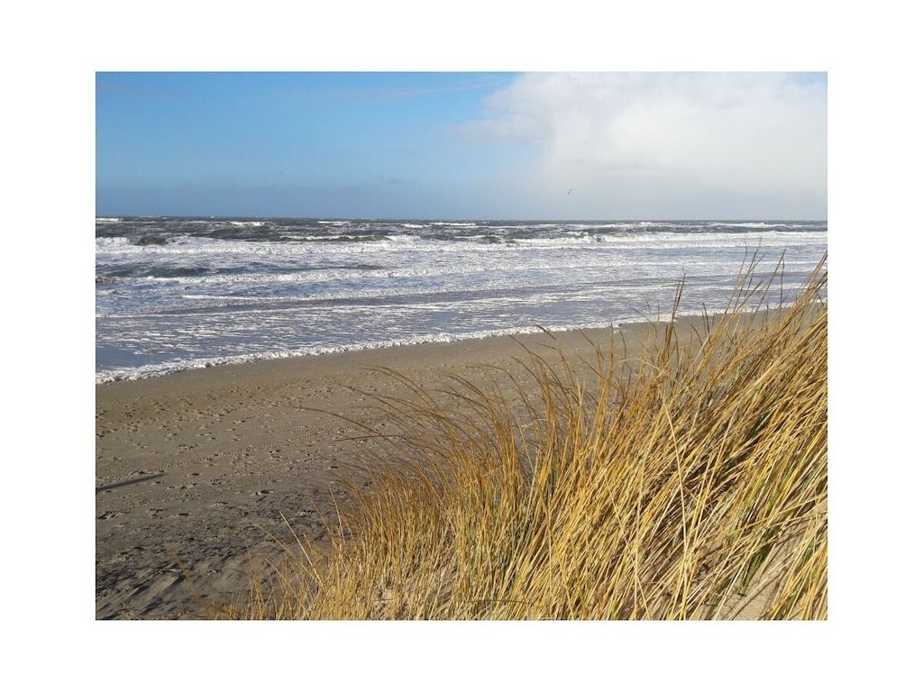 139851 in Callantsoog - Foto 19 van 25