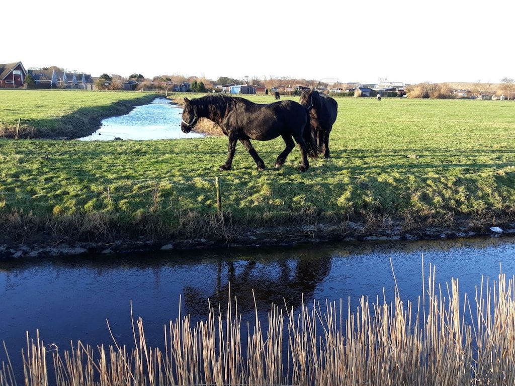 139851 in Callantsoog - Foto 8 van 25