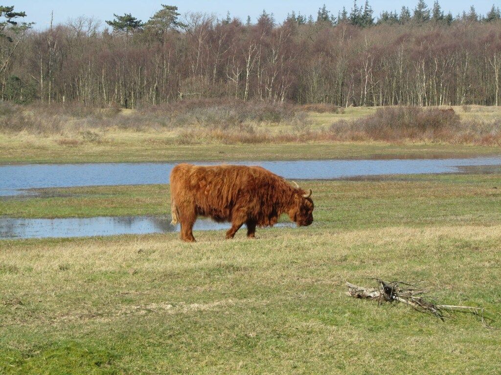 169161 in Castricum - Foto 13 van 21