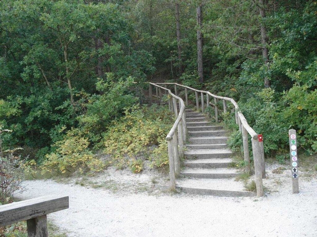 119926 in Schoorl - Foto 14 van 20