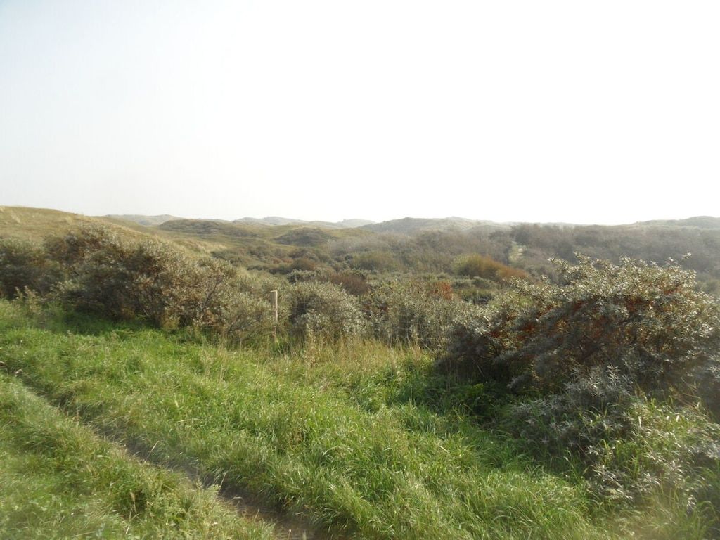 445108 in Egmond aan Zee - Foto 25 van 39