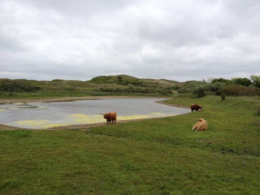 110990 in Egmond aan Zee - Foto 26 van 33