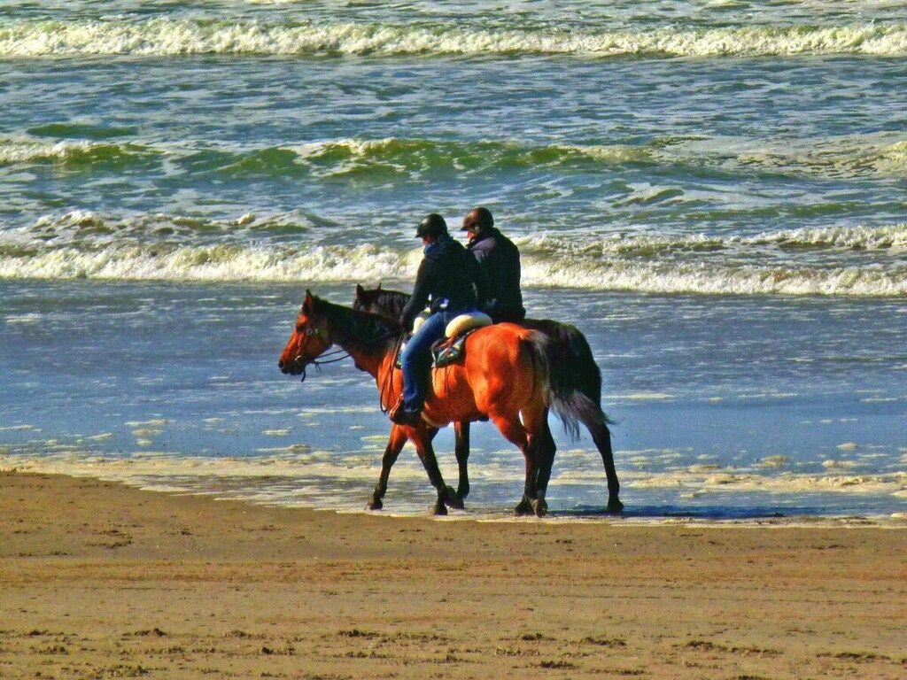 62200 in Buren \/ Ameland - Foto 19 van 28