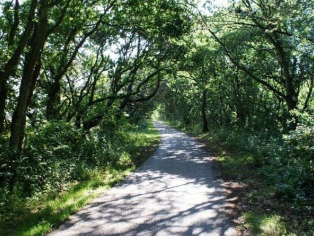 69346 in Callantsoog - Foto 12 van 22