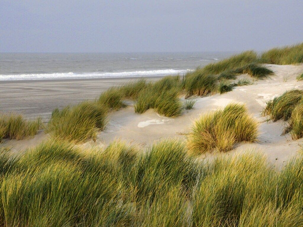 122076 in Ouddorp - Foto 20 van 23