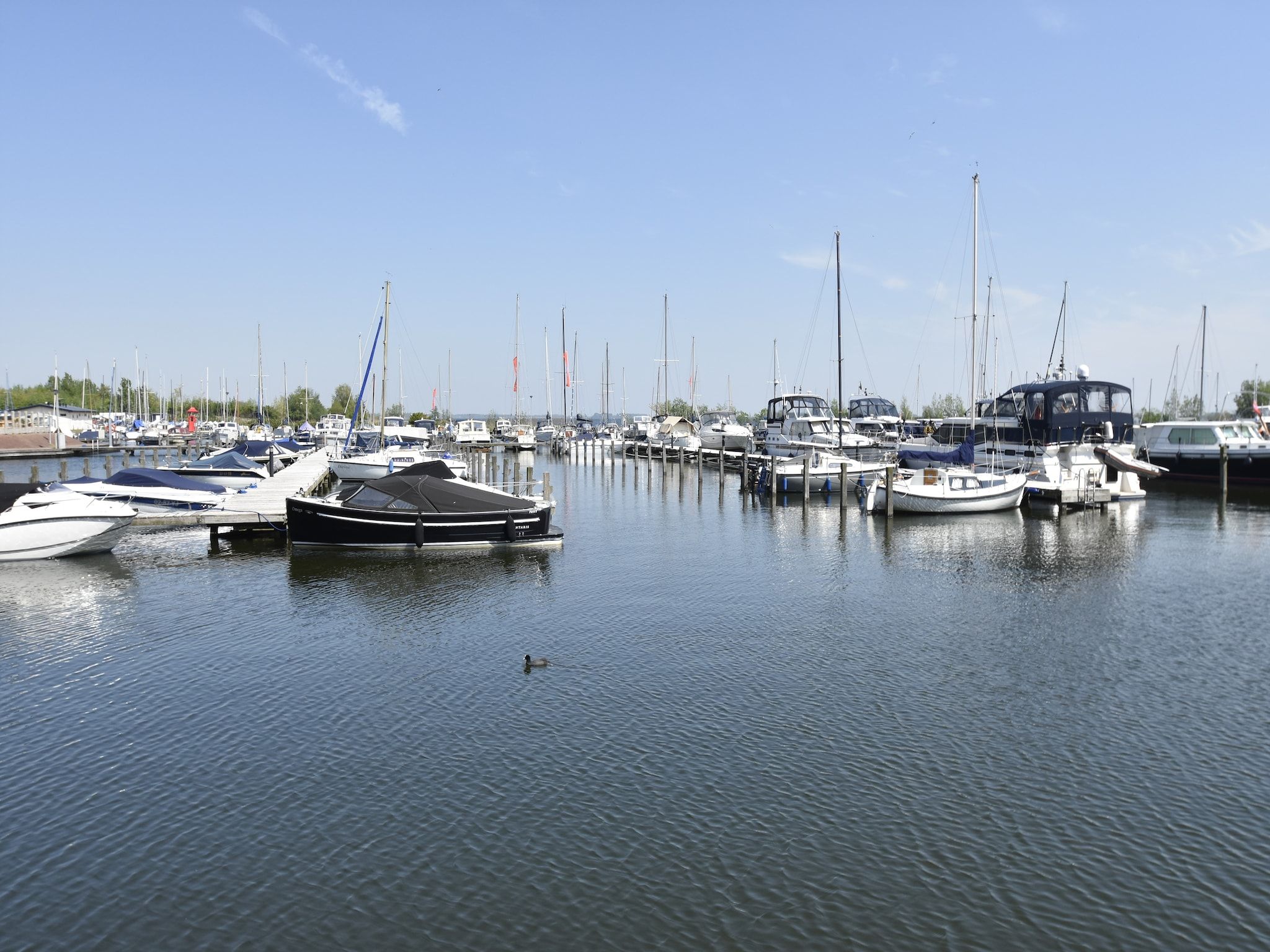De omgeving van Horsterwold 22 in Zeewolde