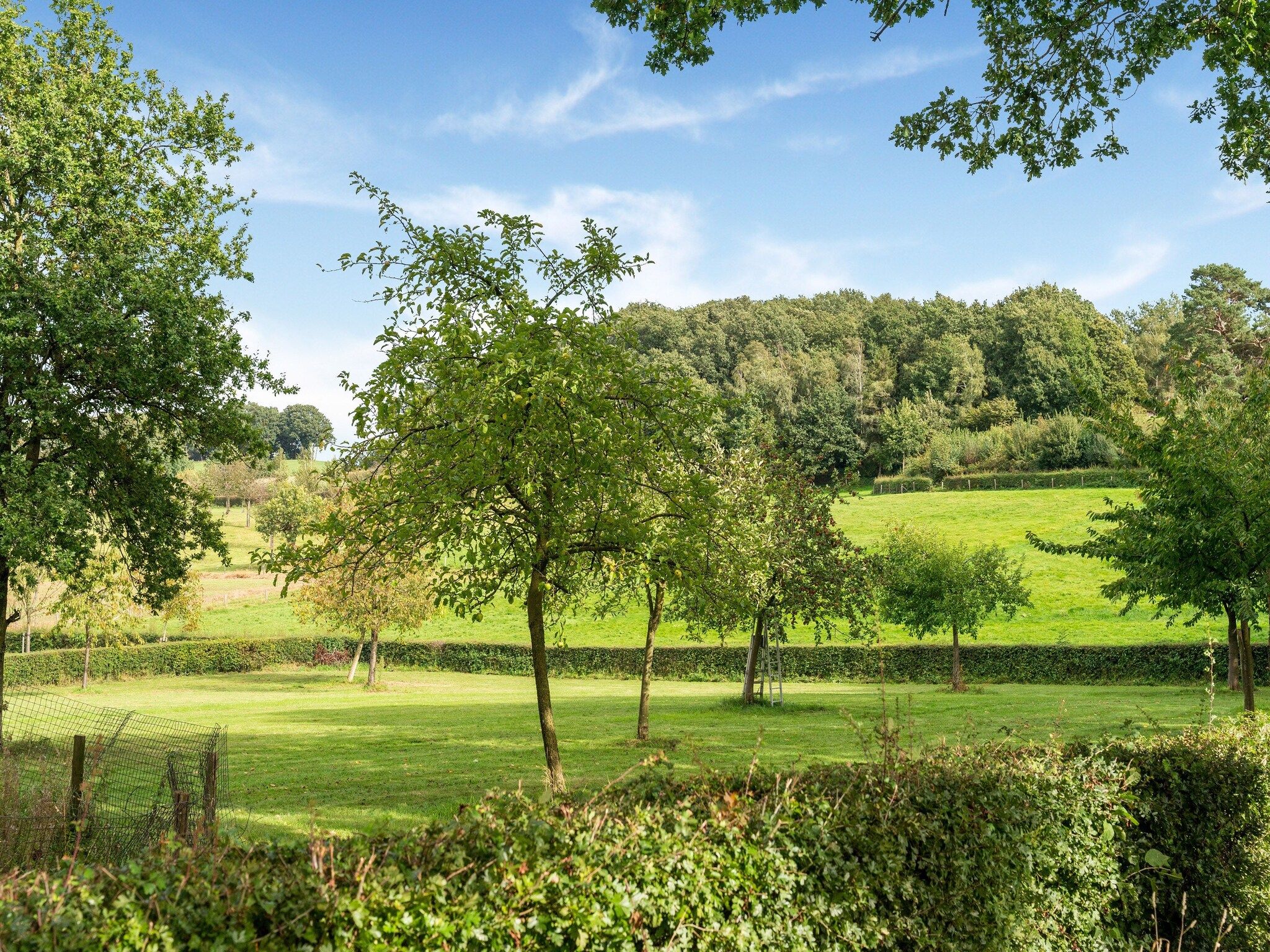 De omgeving van Valleyview Cottages - NR01 in Voerendaal