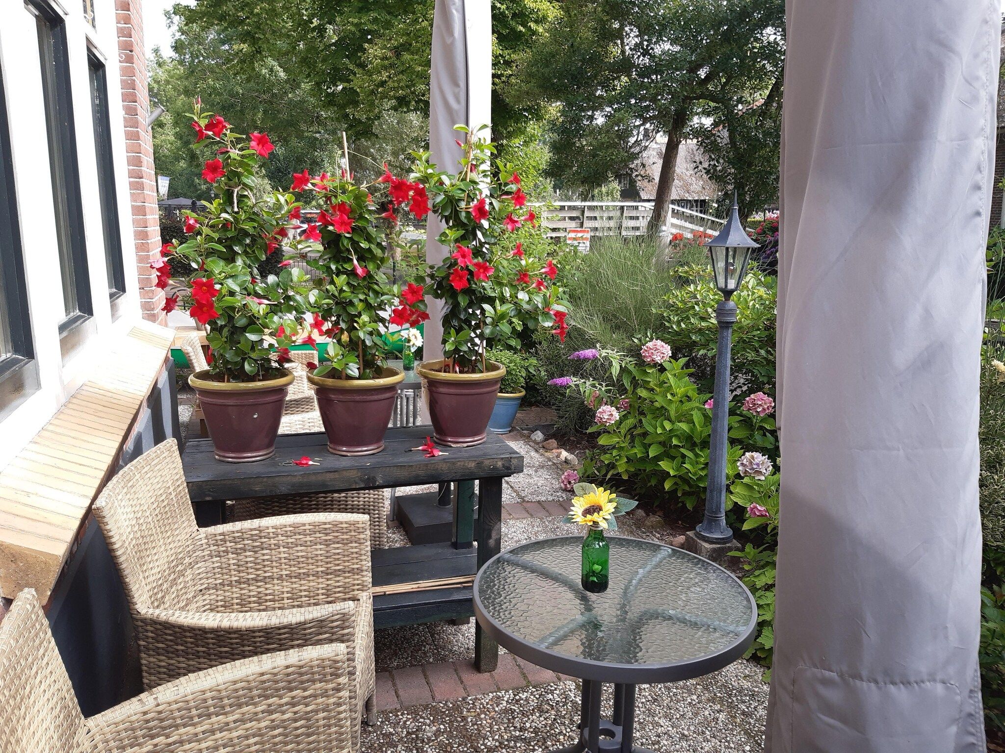Het terras van Logies Paal 4 Giethoorn – 3 persoons in Giethoorn