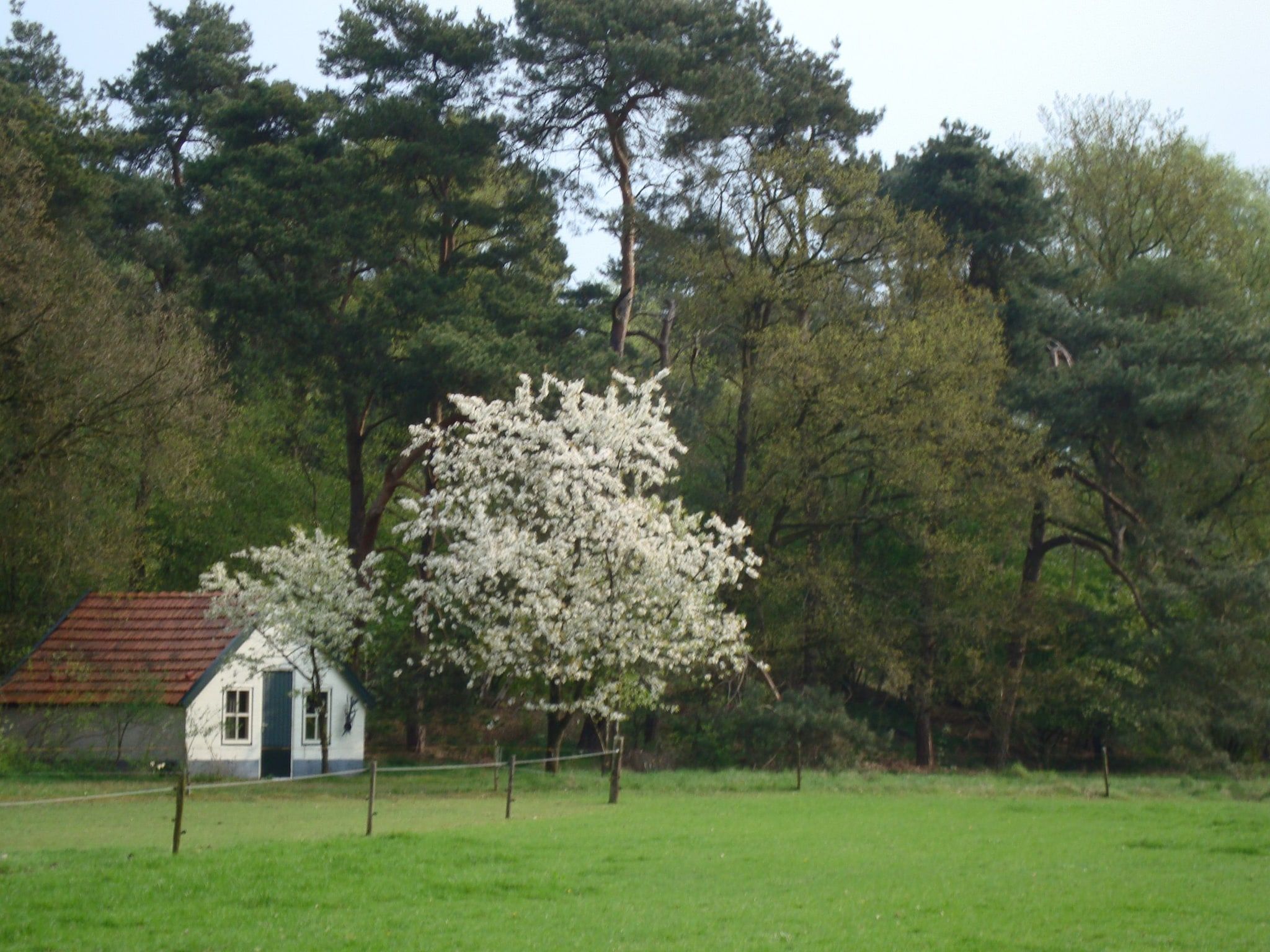 Buitenplaats Berg en Bos nummer 15 in Lemele - Foto 40 van 40
