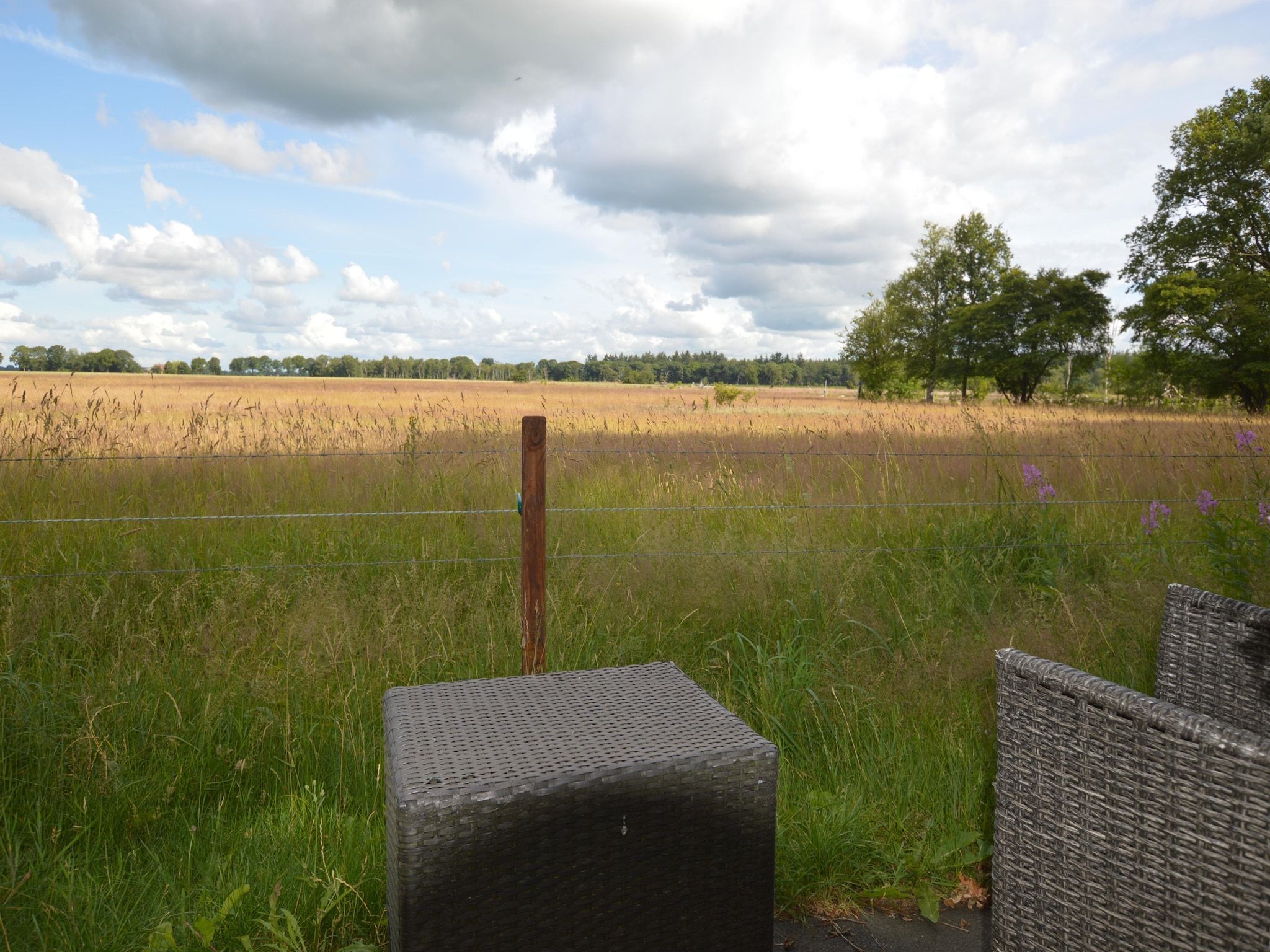 Het uitzicht vanaf Buitenplaats Berg en Bos nummer 15 in Lemele