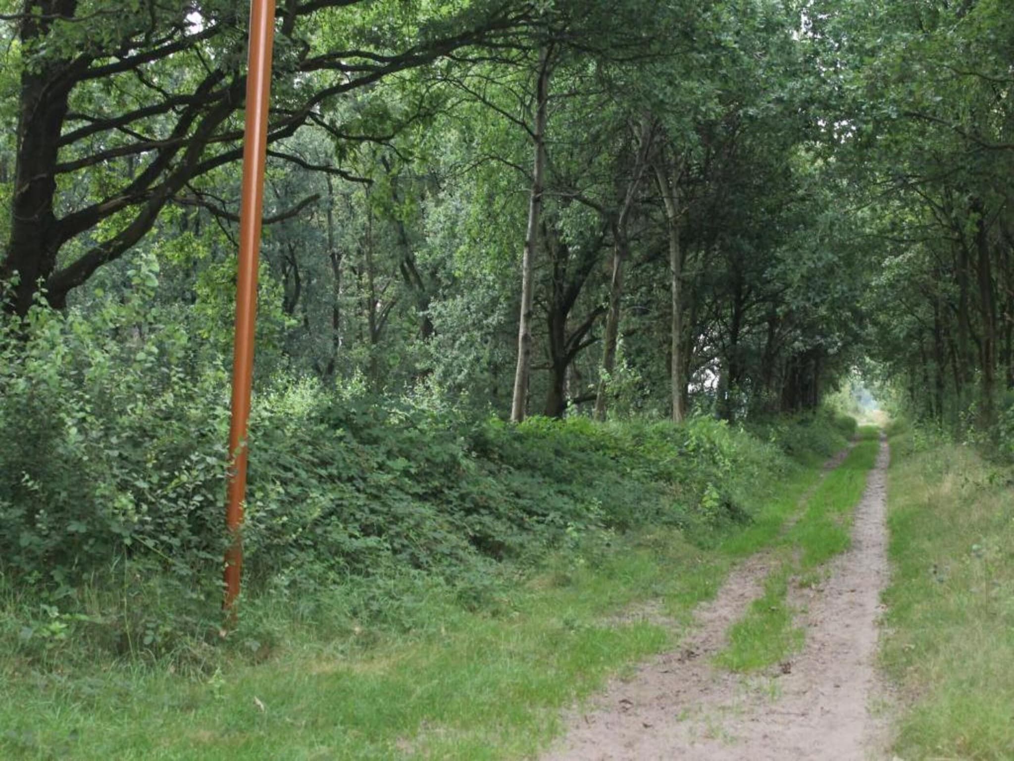 De omgeving van Vakantiepark de Katjeskelder 21 in Oosterhout