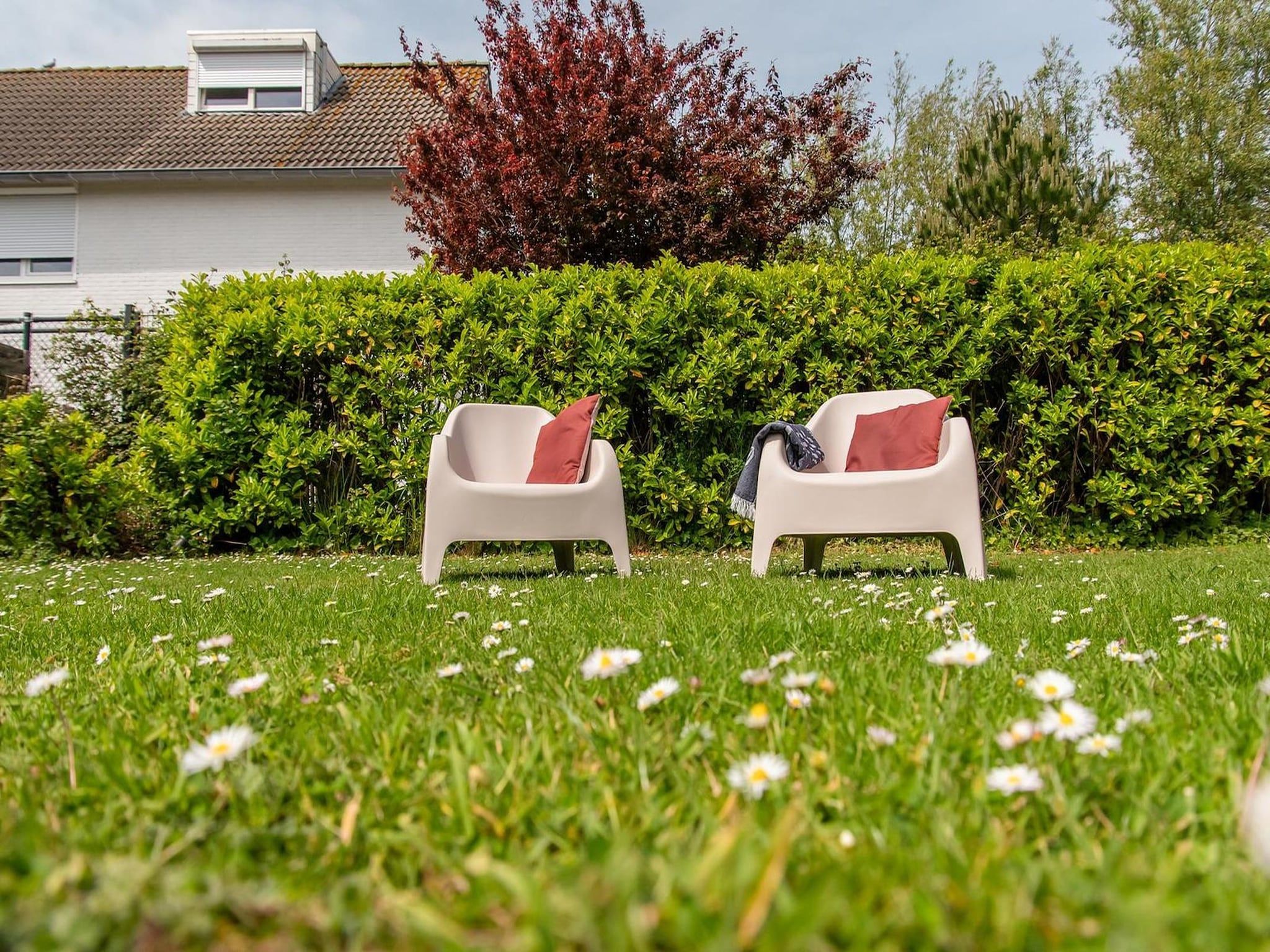 De tuin van Lepelblad 7 in Nieuwvlietbad