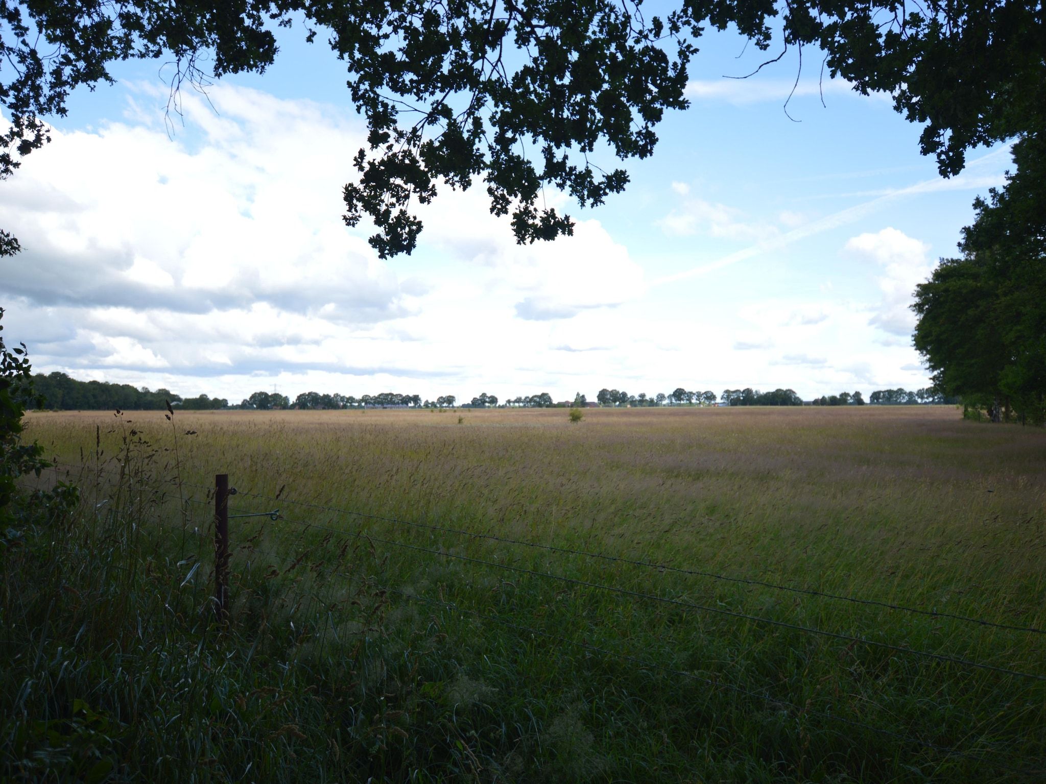 Het uitzicht vanaf Buitenplaats Berg en Bos nummer 13 in Overijssel