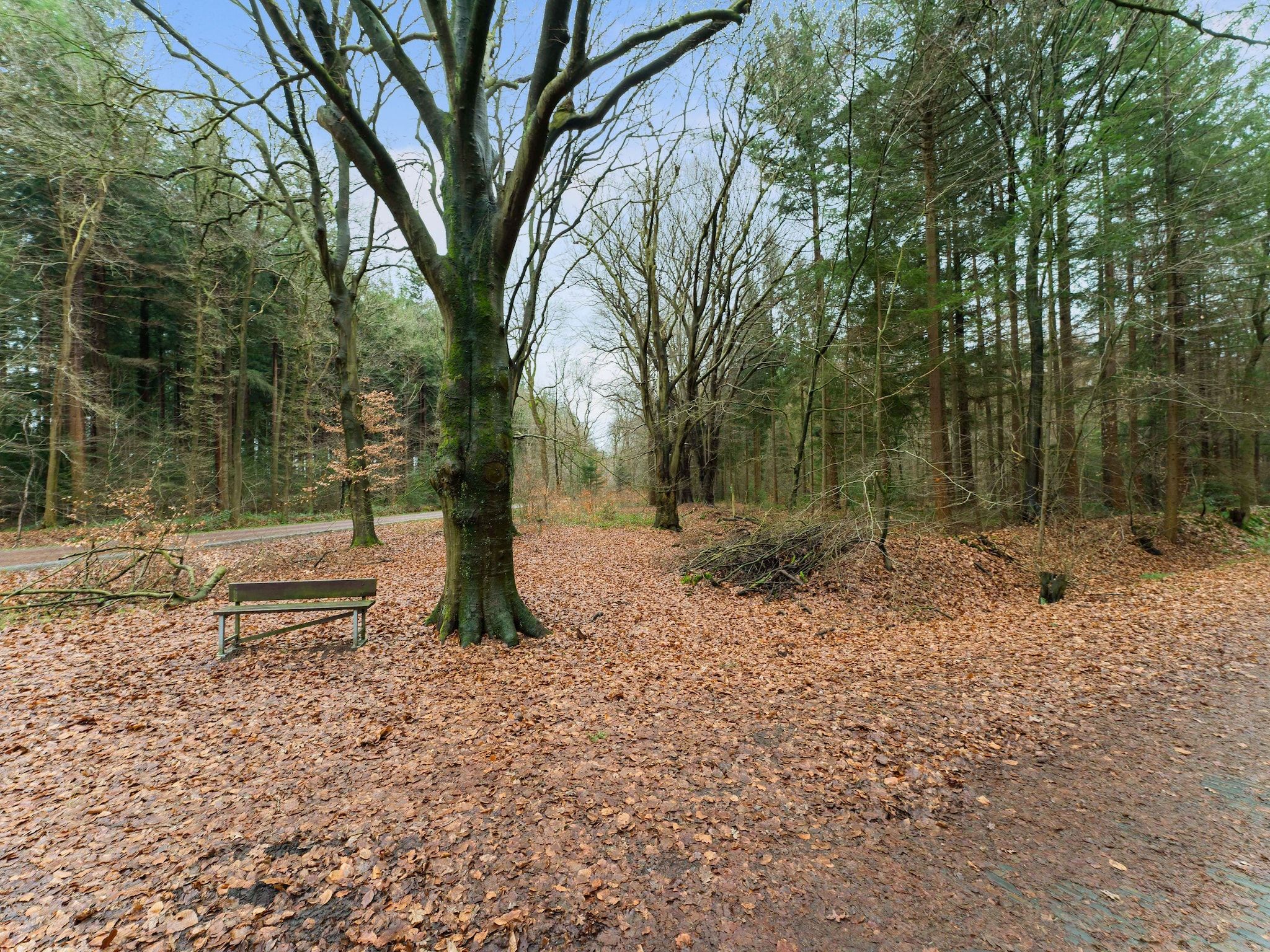 De tuin van Boshuis De Klim in Norg