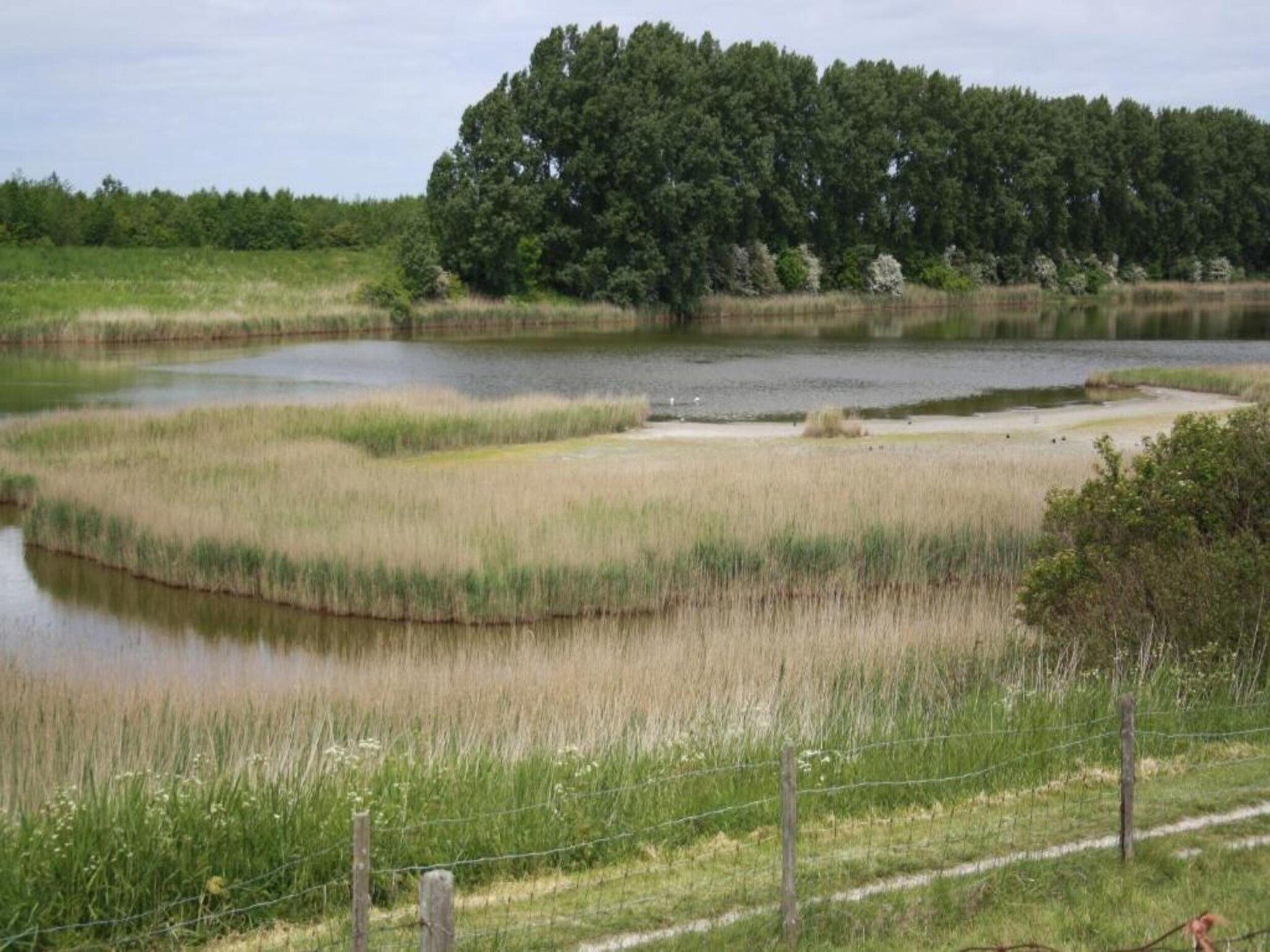 De Tjiftjaf Huis Nr 21 in Scherpenisse - Foto 30 van 40