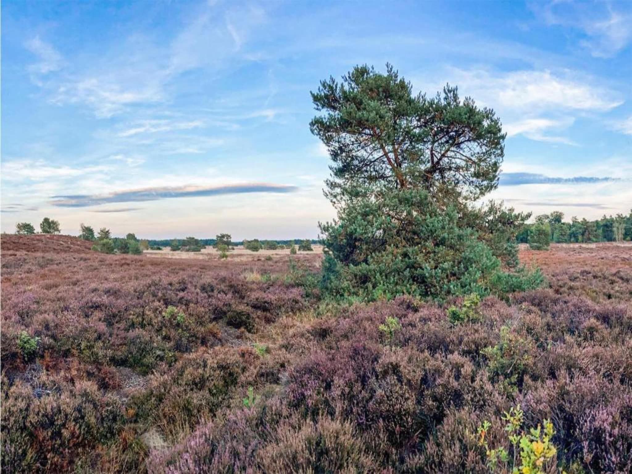 De omgeving van De Veluwse Hoevegaerde 7 in Putten