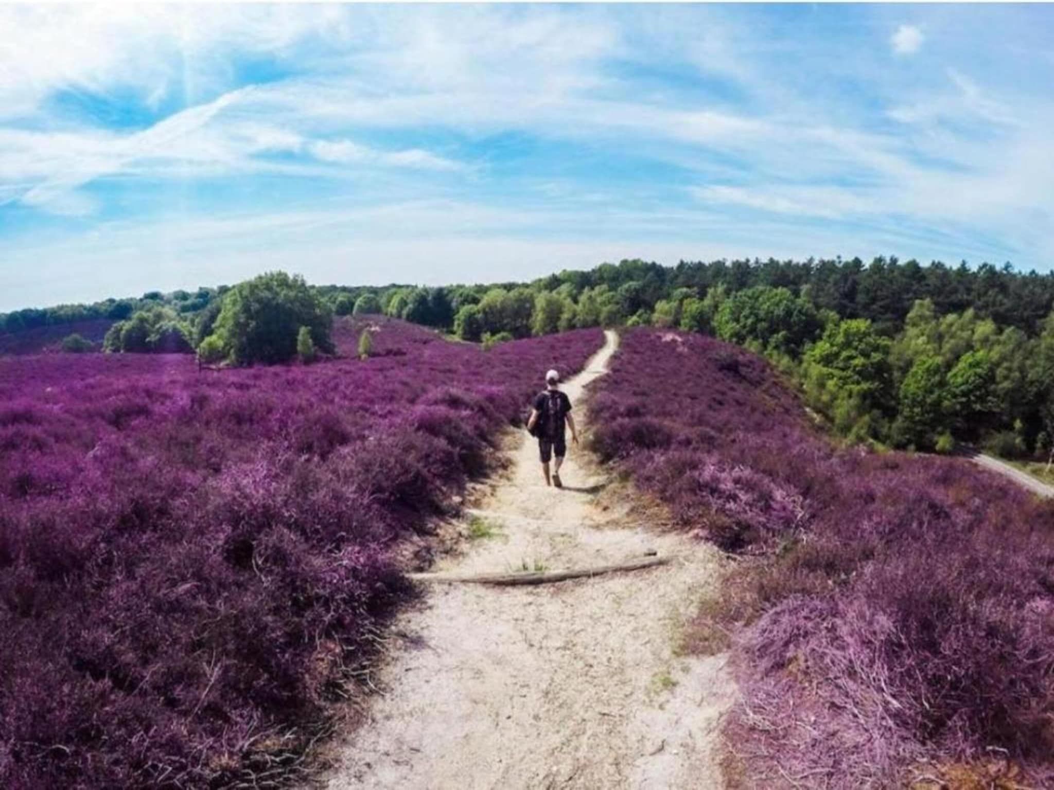 De omgeving van De Veluwse Hoevegaerde 7 in Putten