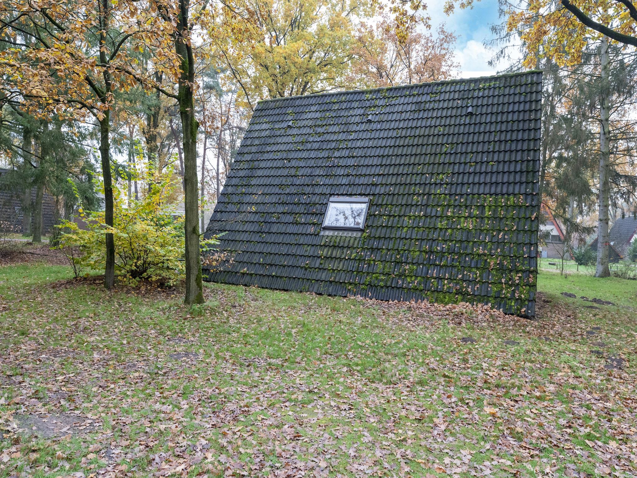De tuin van Vosseven 55 Annemoon in Stramproy