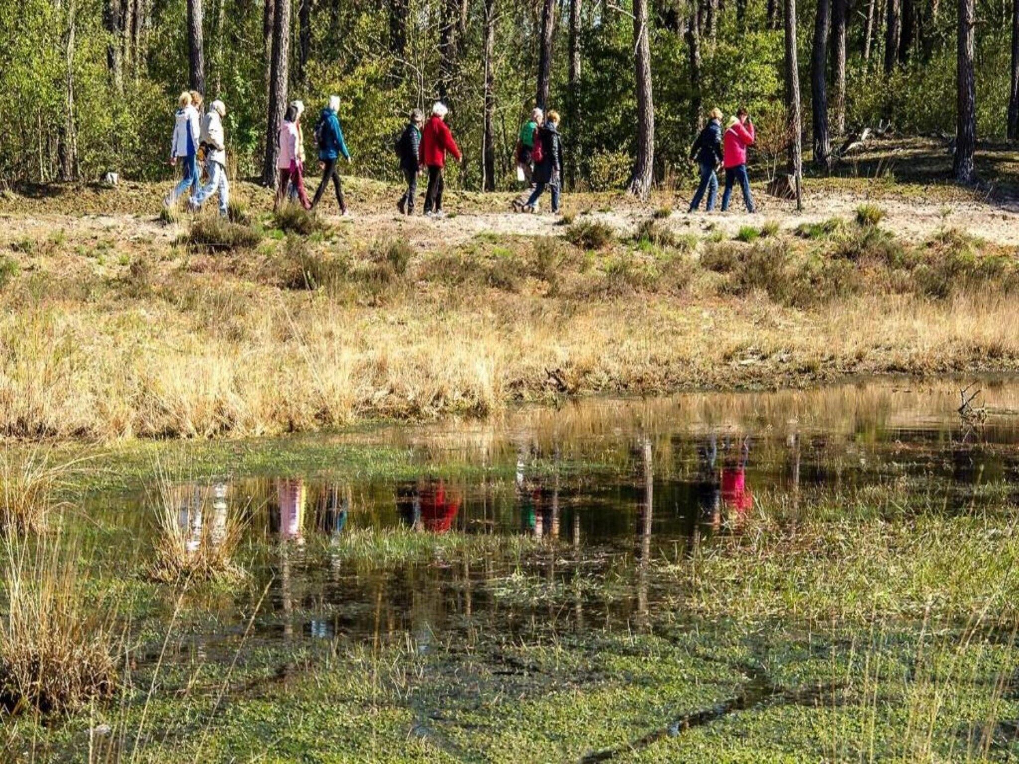 Vakantiepark Molenvelden 4 in Veldhoven - Foto 30 van 39