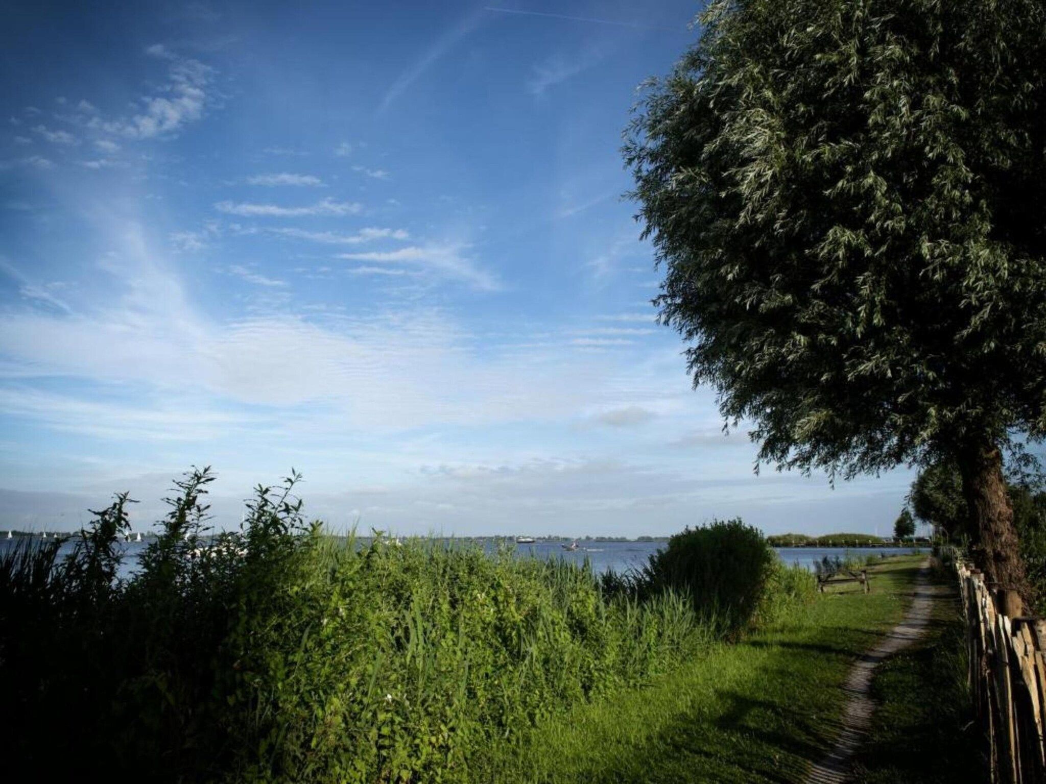 De omgeving van Paviljoenwei 12-24 - begane grond in Offingawier