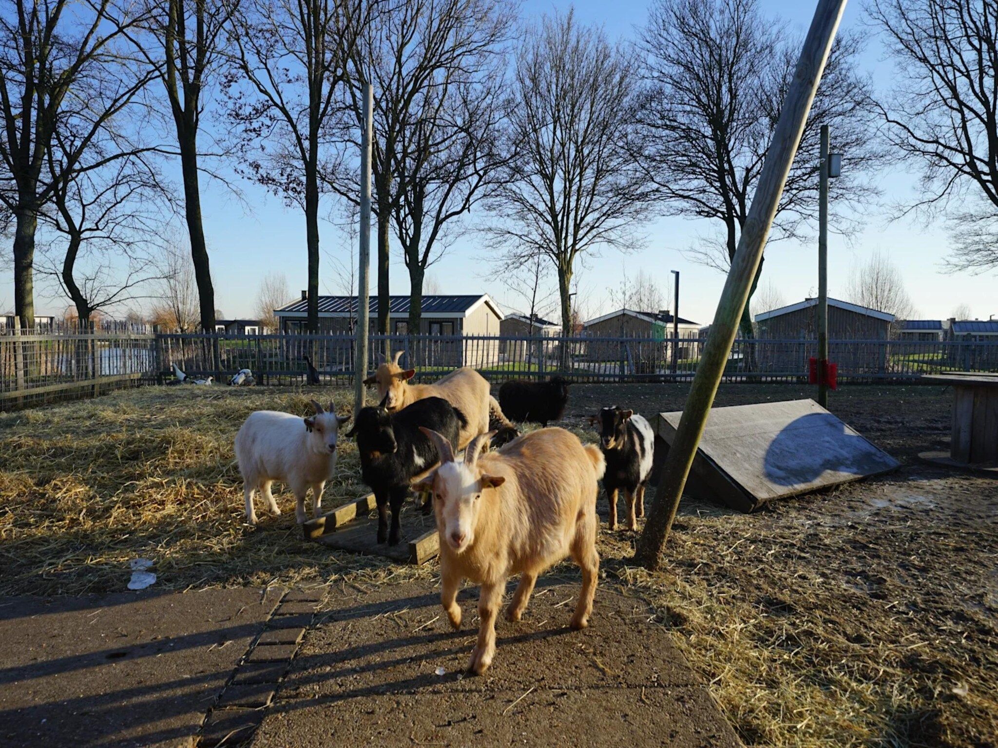 Parkfaciliteiten bij Hackfort 6 in Kampen