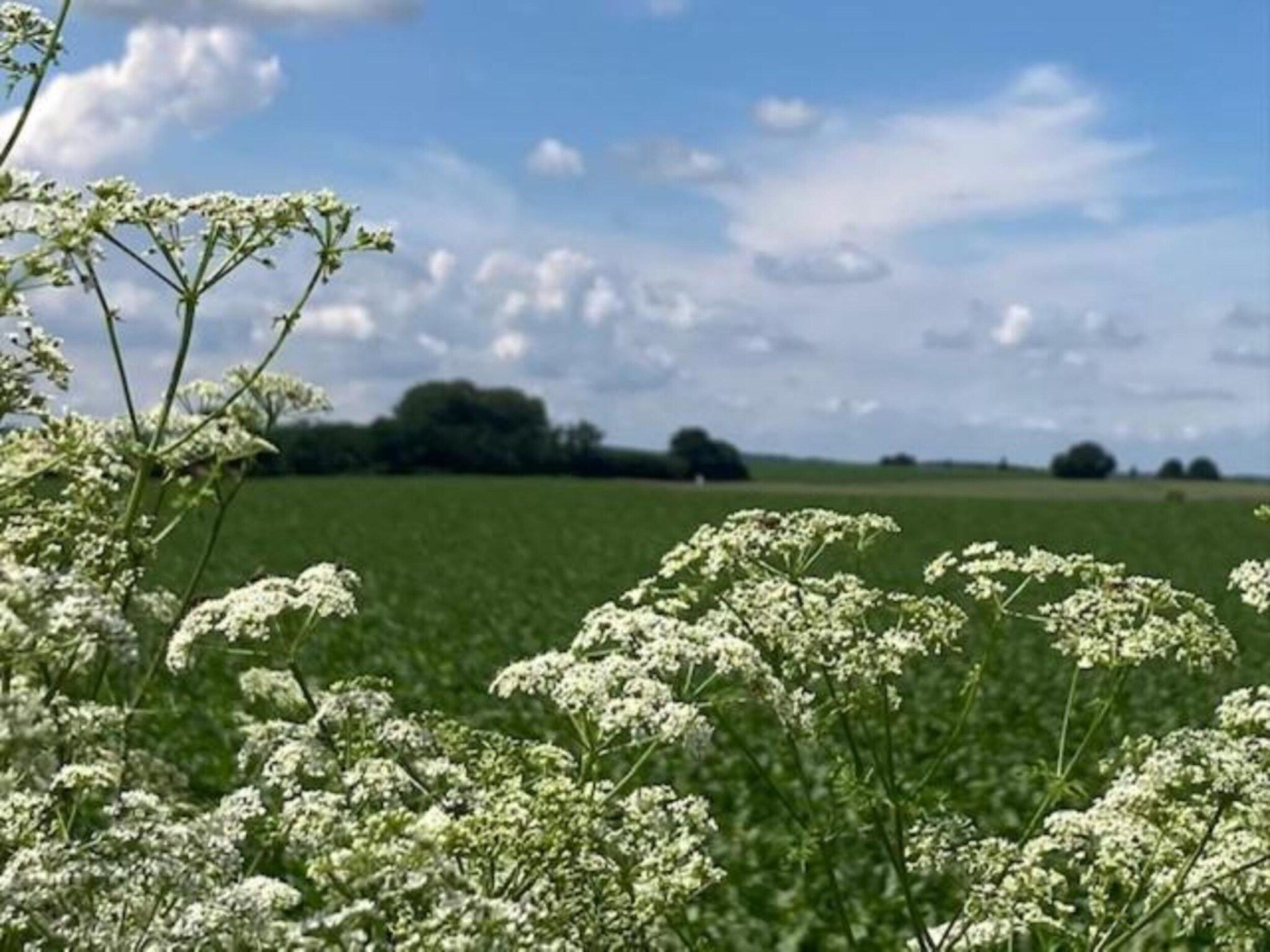 Herenhoeve de Bockhof in Schimmert - Foto 39 van 40