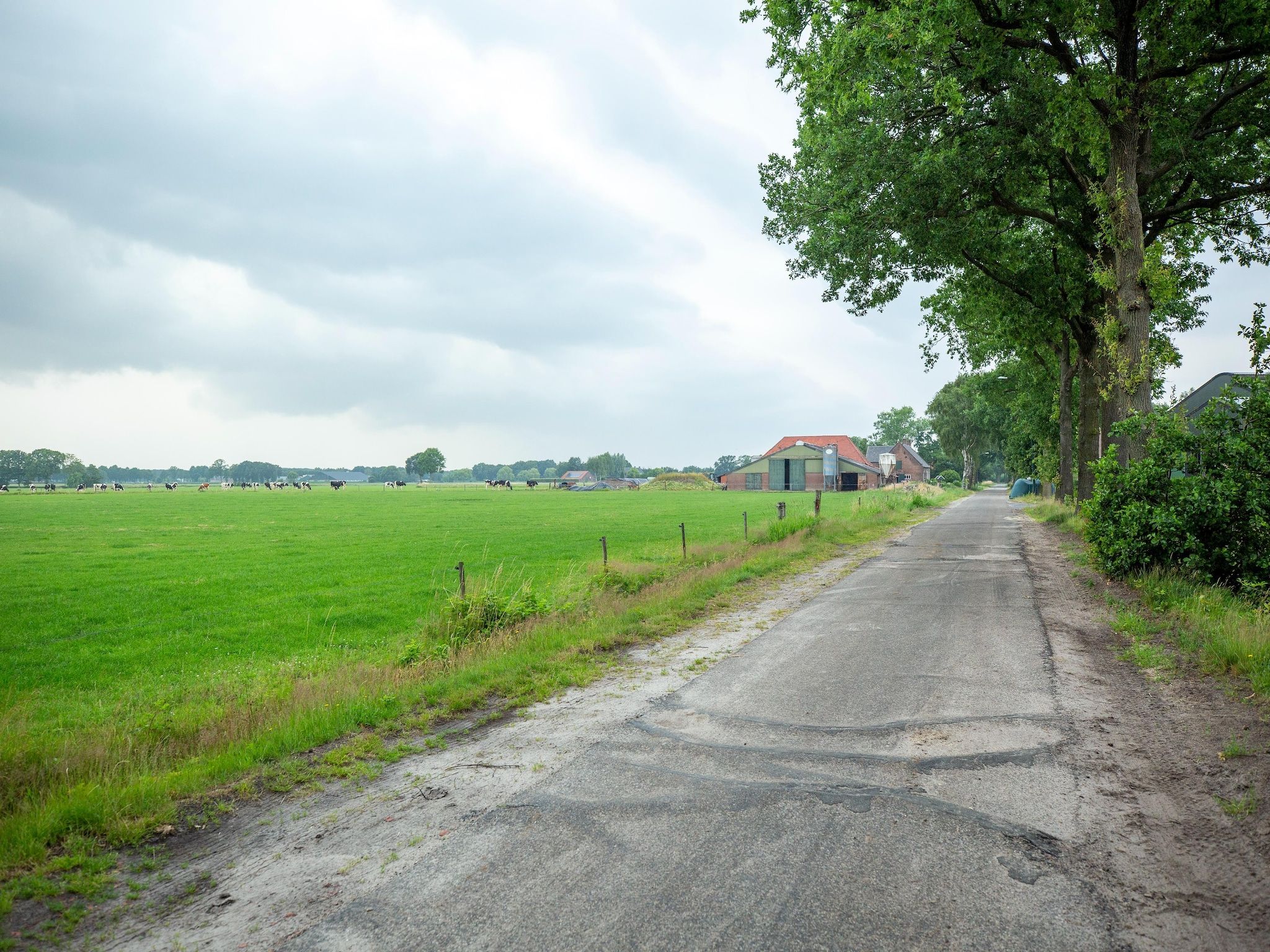 NR 4 in Goirle - Foto 34 van 40