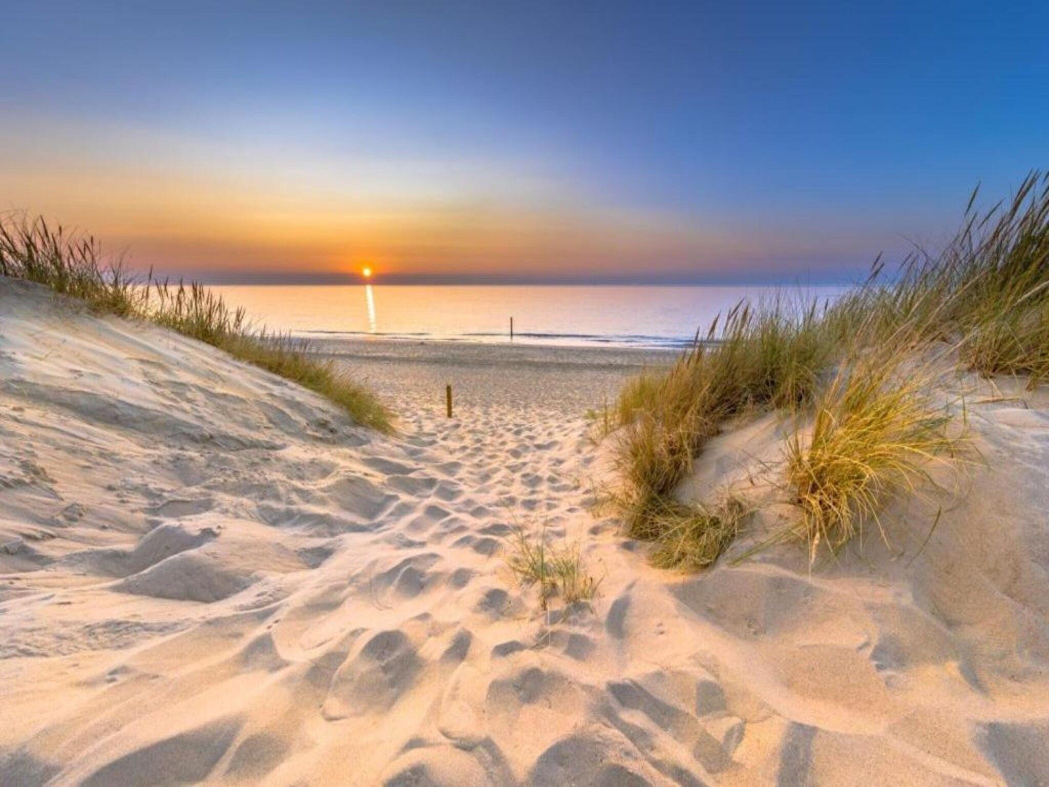 Vakantiepark Hof van Zeeland 5 in Heinkenszand - Foto 36 van 40