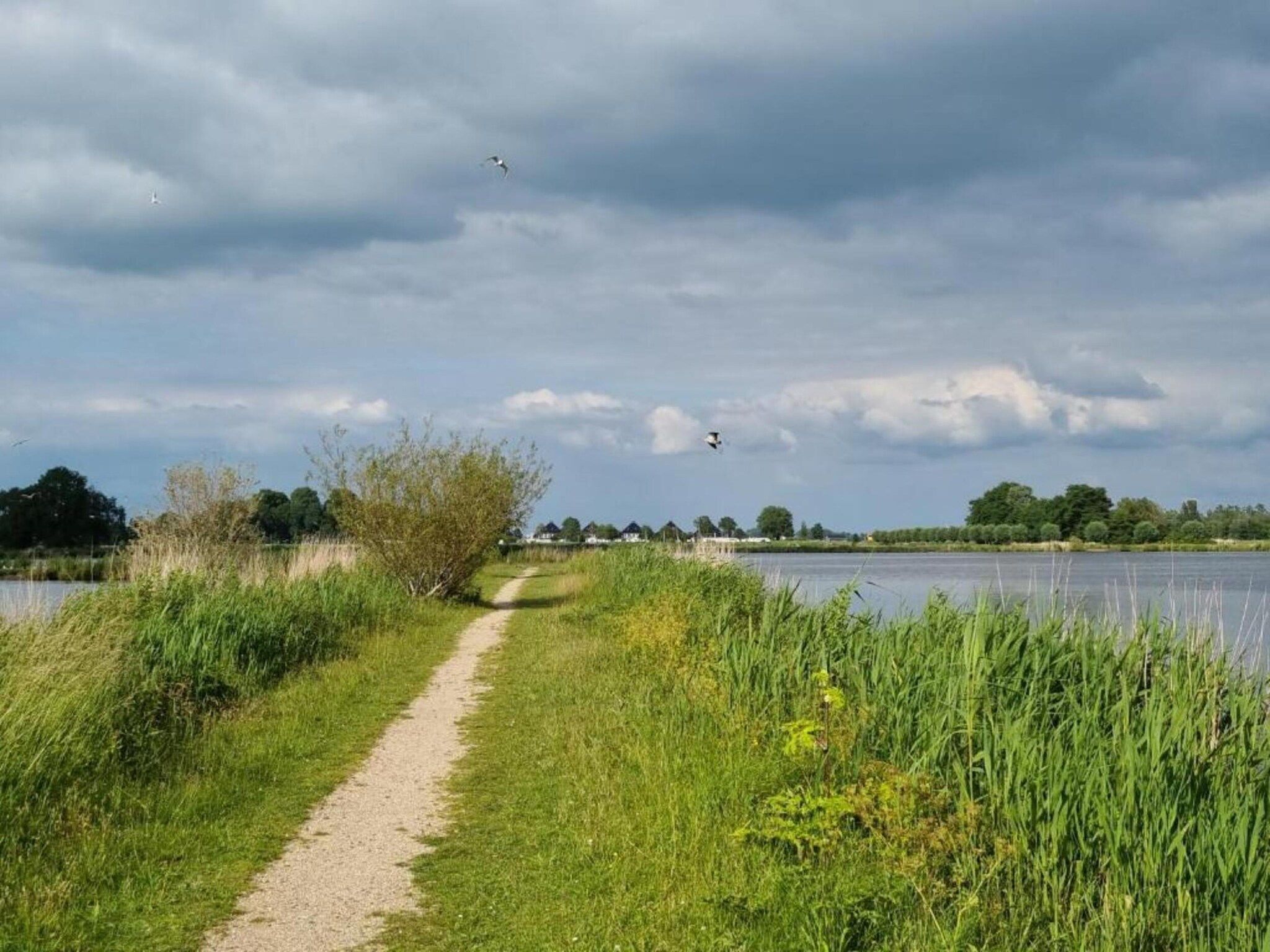 De omgeving van Houseboat 'de Valreep' met tuin - Paviljoenwei 2 in Offingawier