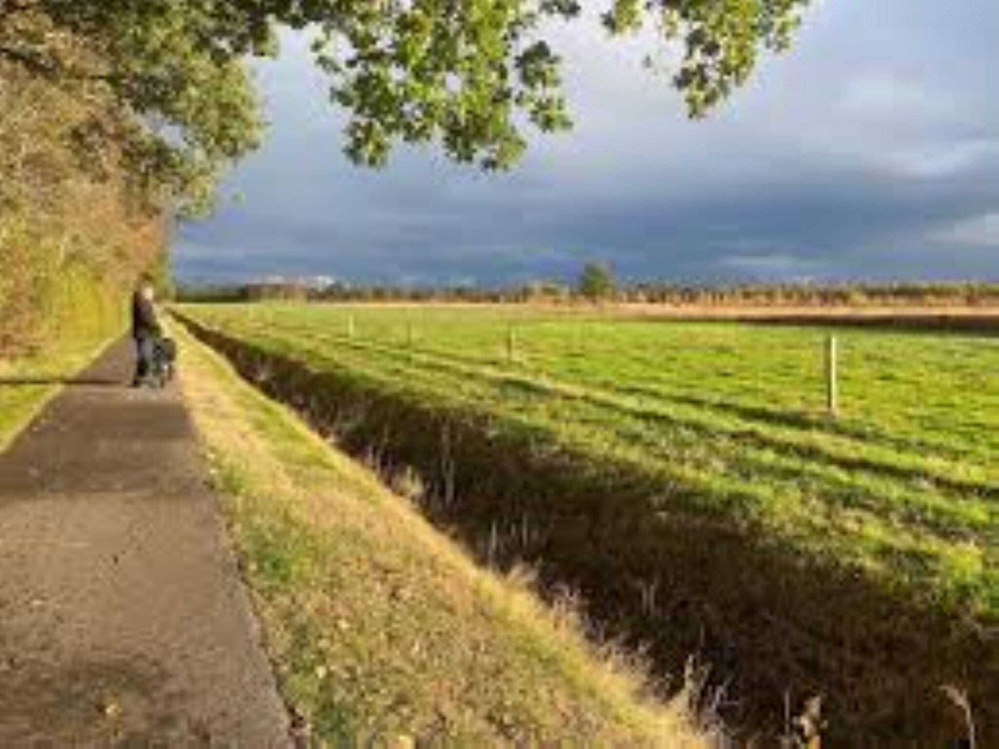 Natuurlodge Tureluur 2p in Drenthe - Foto 7 van 27