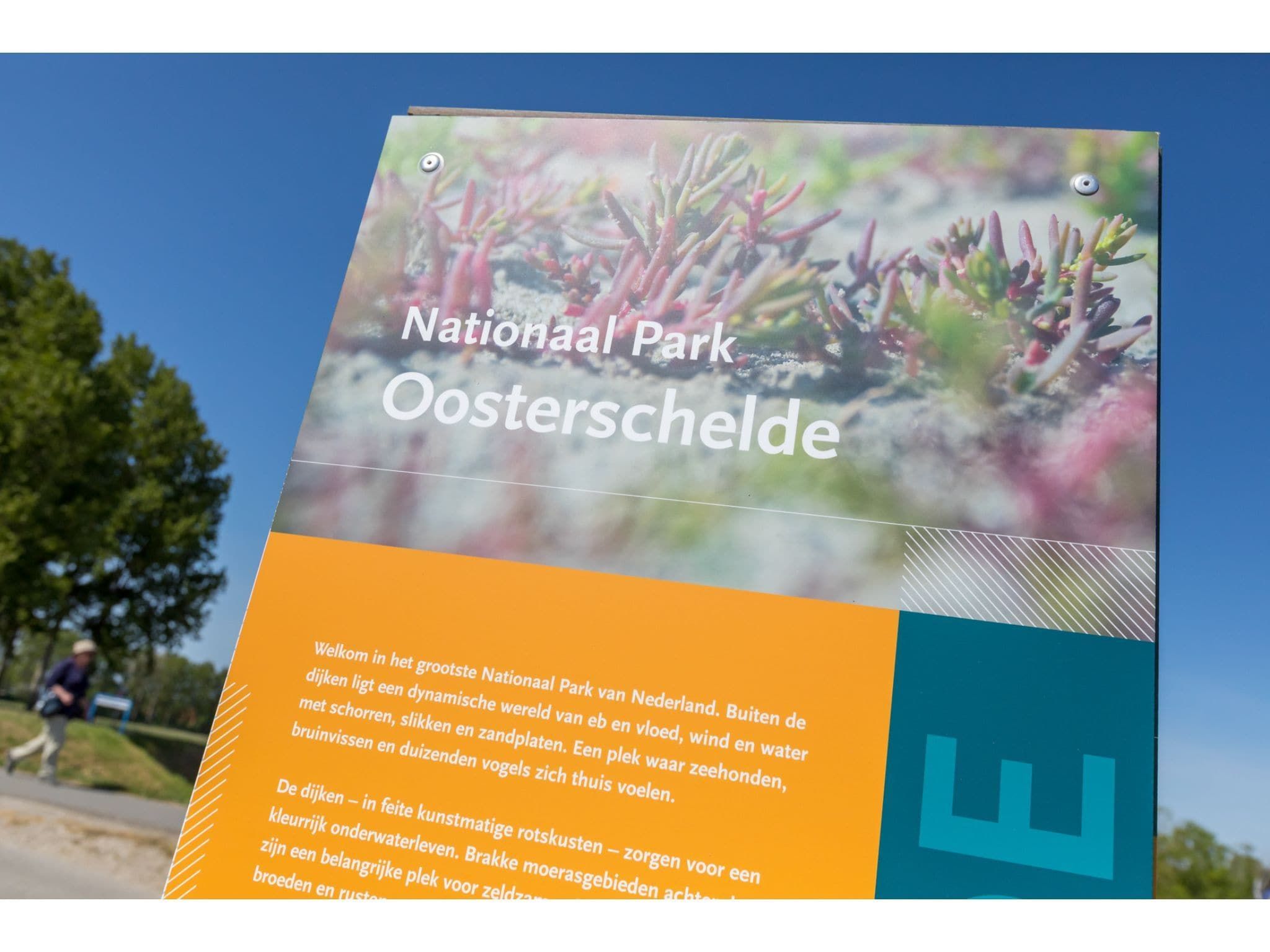 Sfeerbeeld van Havenweg 8-22 in St. Annaland